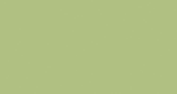 西(xī)班牙德賽斯-純色系列 TC17C 果綠(lǜ)