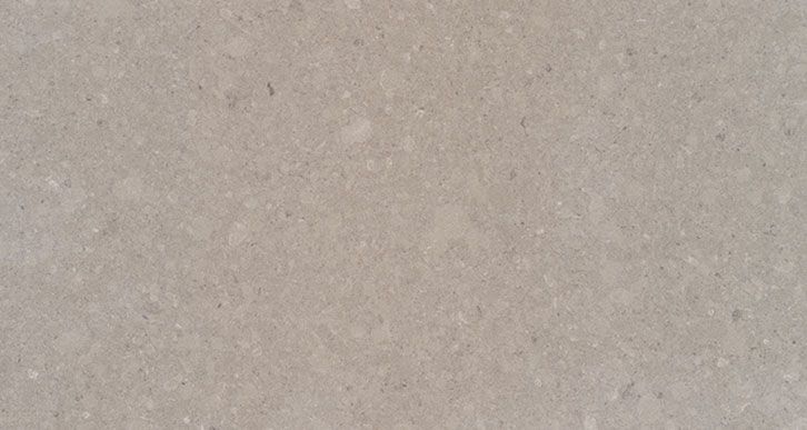 以色列恺薩金(jīn)石-C-4230  松塔