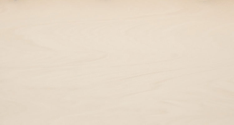 西(xī)班牙德賽斯-石紋系列 TS01B-米色砂岩