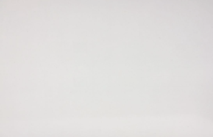 意大(dà)利諾爾卡斯  M100極地(dì)白(bái)（純白(bái)）